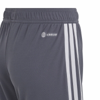 Spodenki dla dzieci adidas Tiro 23 League szare IB8102