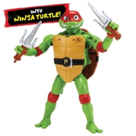 Teenage Mutant Ninja Turtles TMNT PET NIN RAP 10