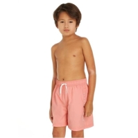 Tommy Hilfiger Tommy Side Lgo Swim Jn42