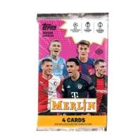 Topps Topps Merlin 2324 10