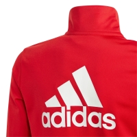 Trening Trening 's adidas Essentials Big Logo red-black IJ6305 copil