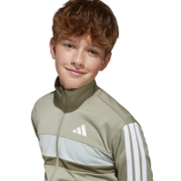 Trening adidas Essentials Tiberio