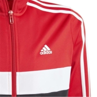 Trening adidas Essentials Tiberio