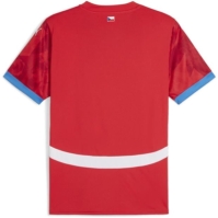 Camasa Puma Czech Republic Home 2024 adulti