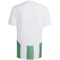 Camasa Men's T- adidas Striped 24 Jersey white-green IW2148