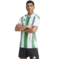 Camasa Men's T- adidas Striped 24 Jersey white-green IW2148