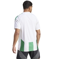 Camasa Men's T- adidas Striped 24 Jersey white-green IW2148