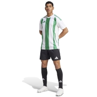 Camasa Men's T- adidas Striped 24 Jersey white-green IW2148