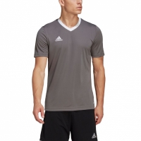 Koszulka męska adidas Entrada 22 Jersey szara HE1574