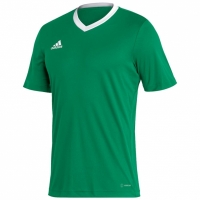 Koszulka męska adidas Entrada 22 Jersey zielona HI2123