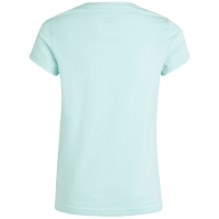 Tricou Camasa 's T- adidas Essentials Big Logo Cotton mint IM0279 copil