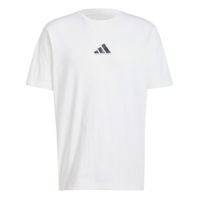 Camasa adidas Graphic Logo T- barbat