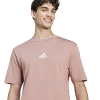 Camasa adidas Graphic Logo T- barbat