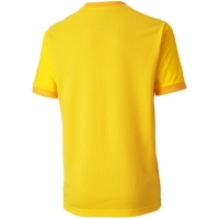 Camasa T- for Puma teamGOAL 23 Jersey yellow 704160 07 copil