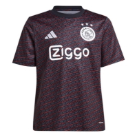 Camasa adidas Ajax Pre Match 2024 2025 copil