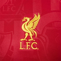 Camasa Nike Liverpool Academy Pro Pre Match 2024 2025 adulti