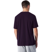 Tricou Camasa Champion SS Men's T- Purple 220256 VS025