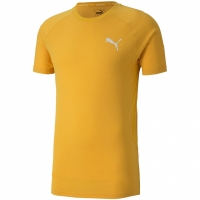 Tricou Puma Evostripe Lite yellow 581534 25