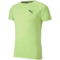 Tricou Puma Rtg Sharp Men's Green 581504 34