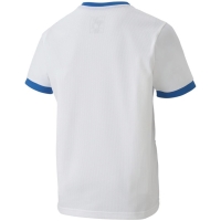 Camasa 's T- Puma teamGOAL 23 Jersey white and blue 704160 12 copil