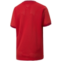 Camasa Puma teamGOAL 's T- 23 Jersey red 704160 01 copil