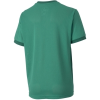 Camasa 's T- Puma teamGOAL 23 Jersey green 704160 05 copil