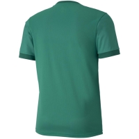 Camasa Men's T- Puma teamGOAL 23 Jersey green 704171 05