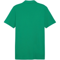 Camasa Puma Team Goal Casuals Polo men's T- green 658605 05