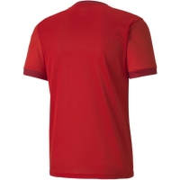 Camasa Men's T- Puma teamGOAL 23 Jersey red 704171 01