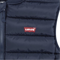 Vesta Vesta Levis Levis Jn51