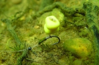 WIDE GAPE BARBLESS NR 10 10BUC PL KORDA