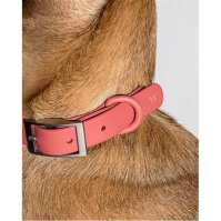 Wild One Dog Collar 99