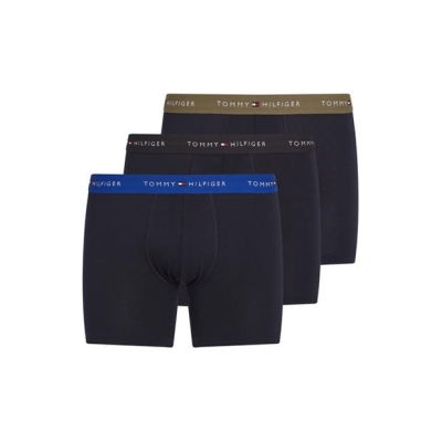 Lenjerie intima Tommy Hilfiger 3P BRIEF WB