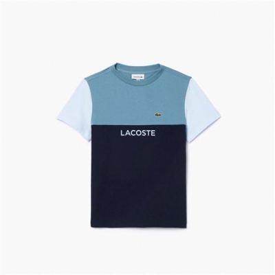 Tricou Lacoste Lacoste Block Jn52