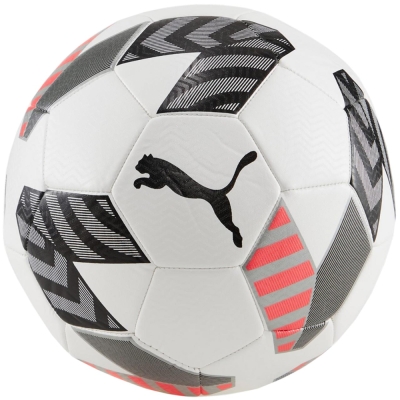 Minge Fotbal Puma King Ball white-gray 83997 02