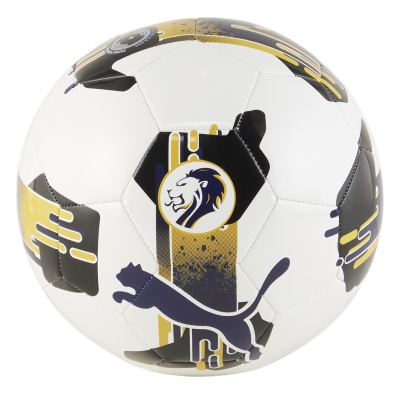 Minge Fotbal Puma Orbita 6 SPFL 2024 2025