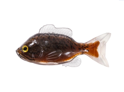 NALUCA SUNFISH UNRIGGED 11CM negru maro 2BUC PL LIVE TARGET