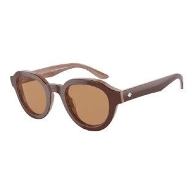 Ochelari de soare GIORGIO ARMANI AR8172U596953 pentru Femei maro