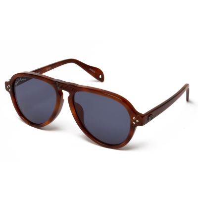 Ochelari de soare UNISEX HALLY&SON DEUS DH507S04 maro