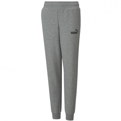 Pantalon Spodnie dla dzieci Puma ESS Logo FL szare 586973 03