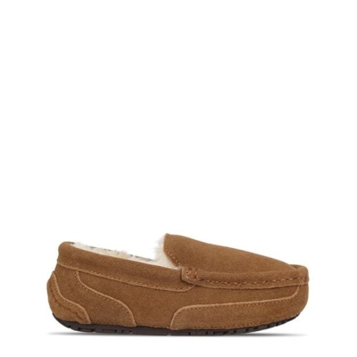 Papuc Casa Jack Wills Moccasin