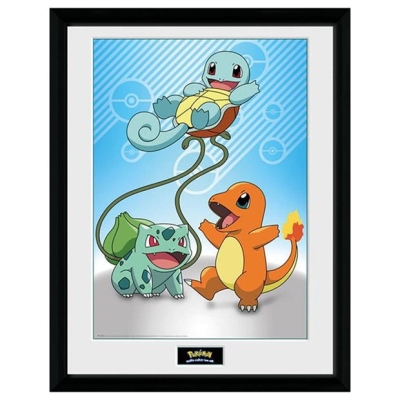 Pokemon Pokemon - Framed Print - Kanto Starters (30x40)