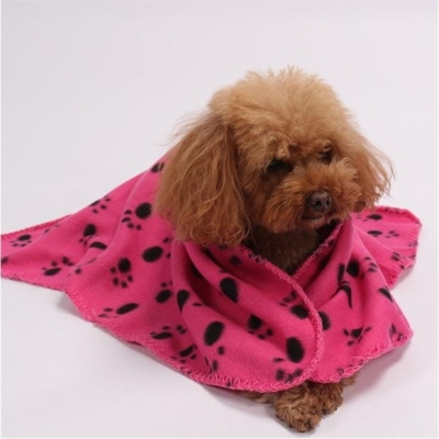 Waggy Tails Flc Blanket 52