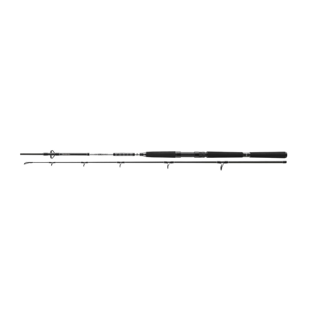 Lanseta BG OFFSHORE PILK 2,40M/50-165G DAIWA