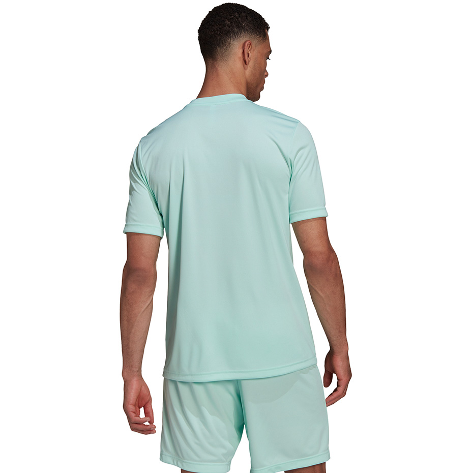 Koszulka męska adidas Entrada 22 Graphic Jersey miętowa HF0119