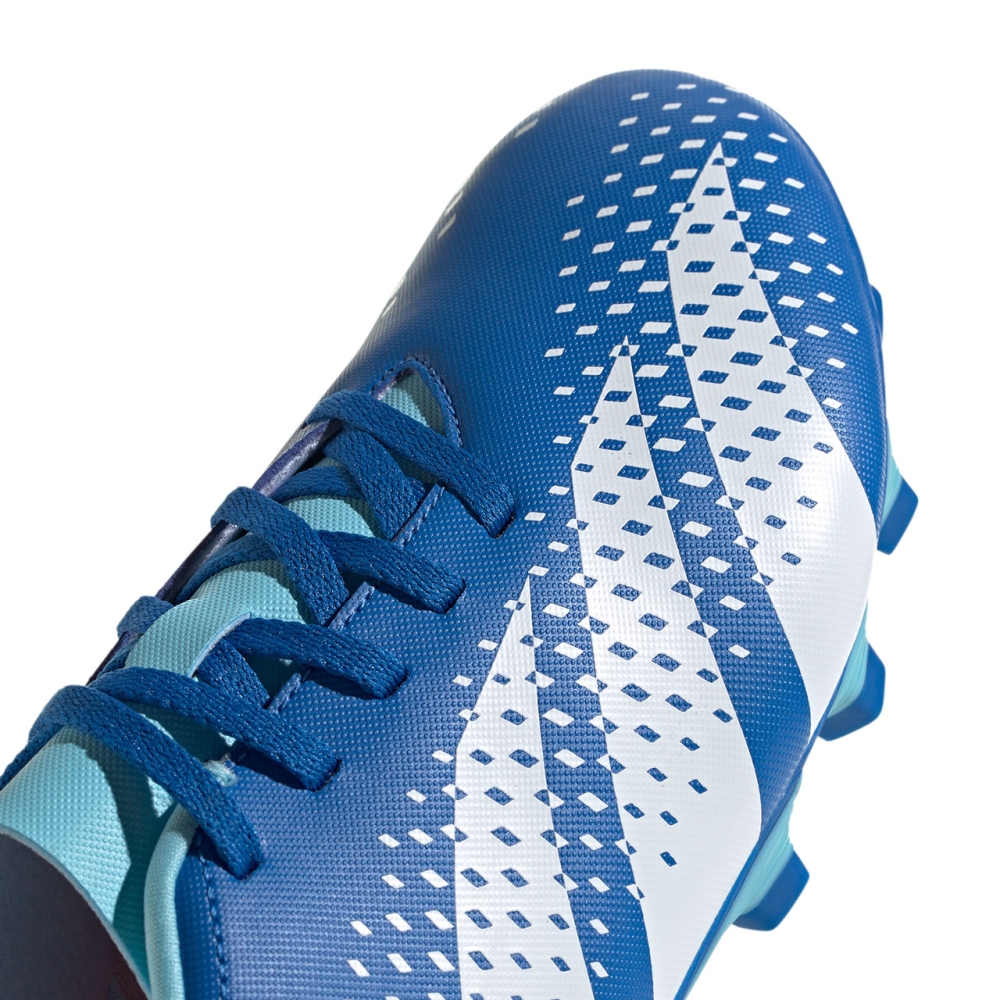 adidas Predator Accuracy.4 FxG pantofi de fotbal GZ0010