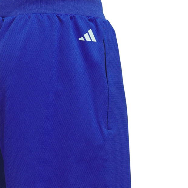 Minge Baschet adidas Slct Logo Shor Short barbat