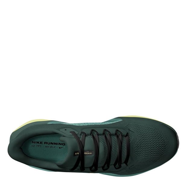 Pantof Nike Pegasus 41 Road Running barbat