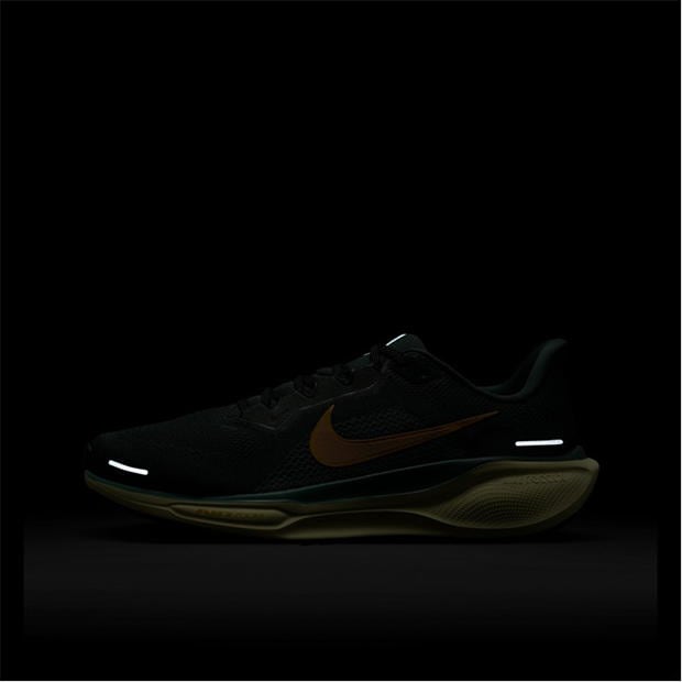 Pantof Nike Pegasus 41 Road Running barbat