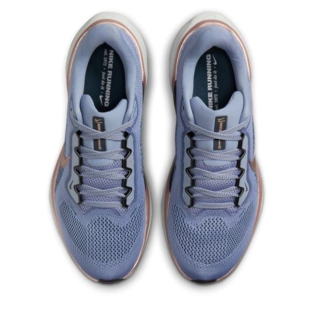 Pantof Nike Pegasus 41 Road Running dama